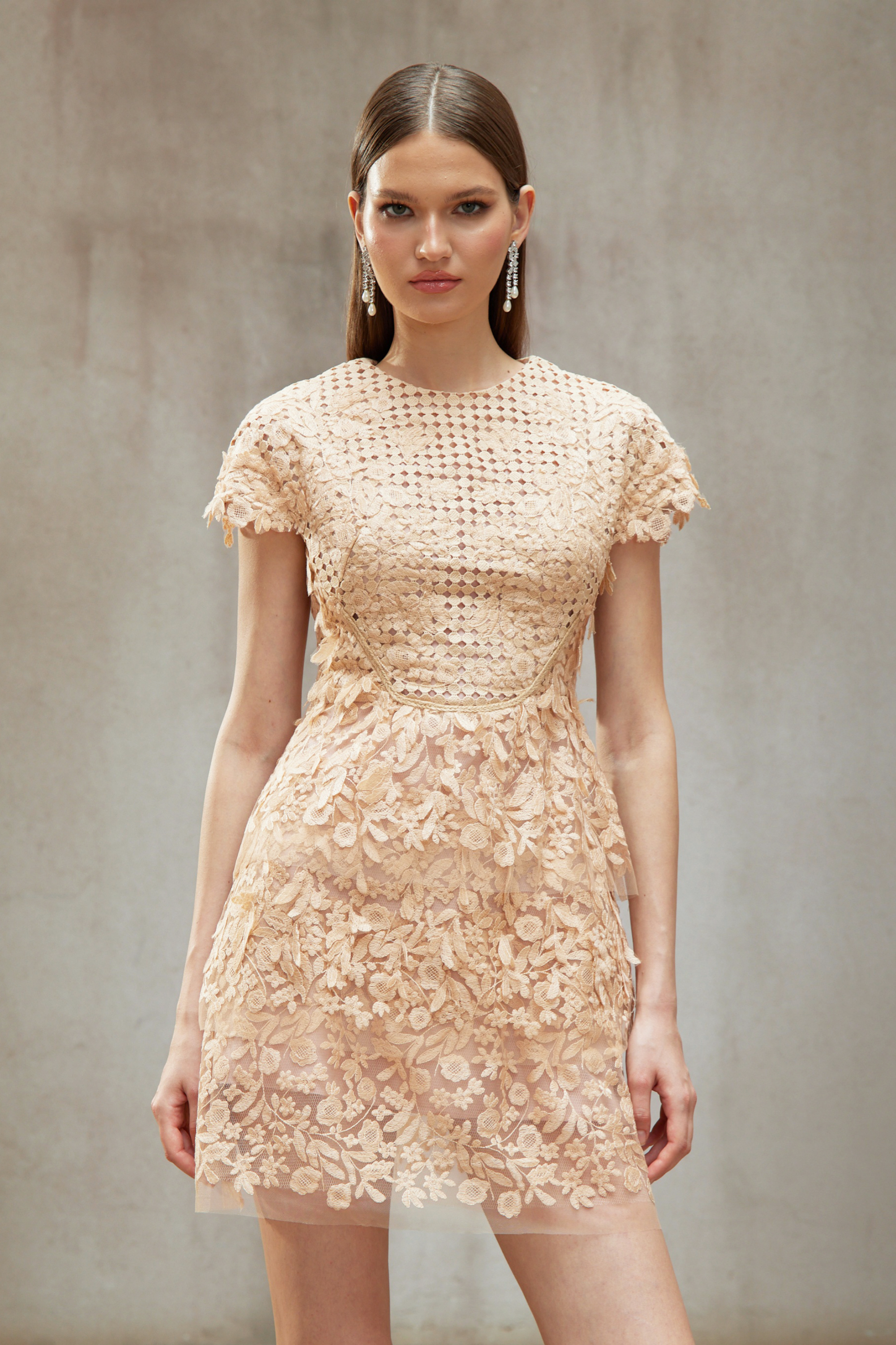Déotille Neutral Floral Embroidered Tulle Mini Dress