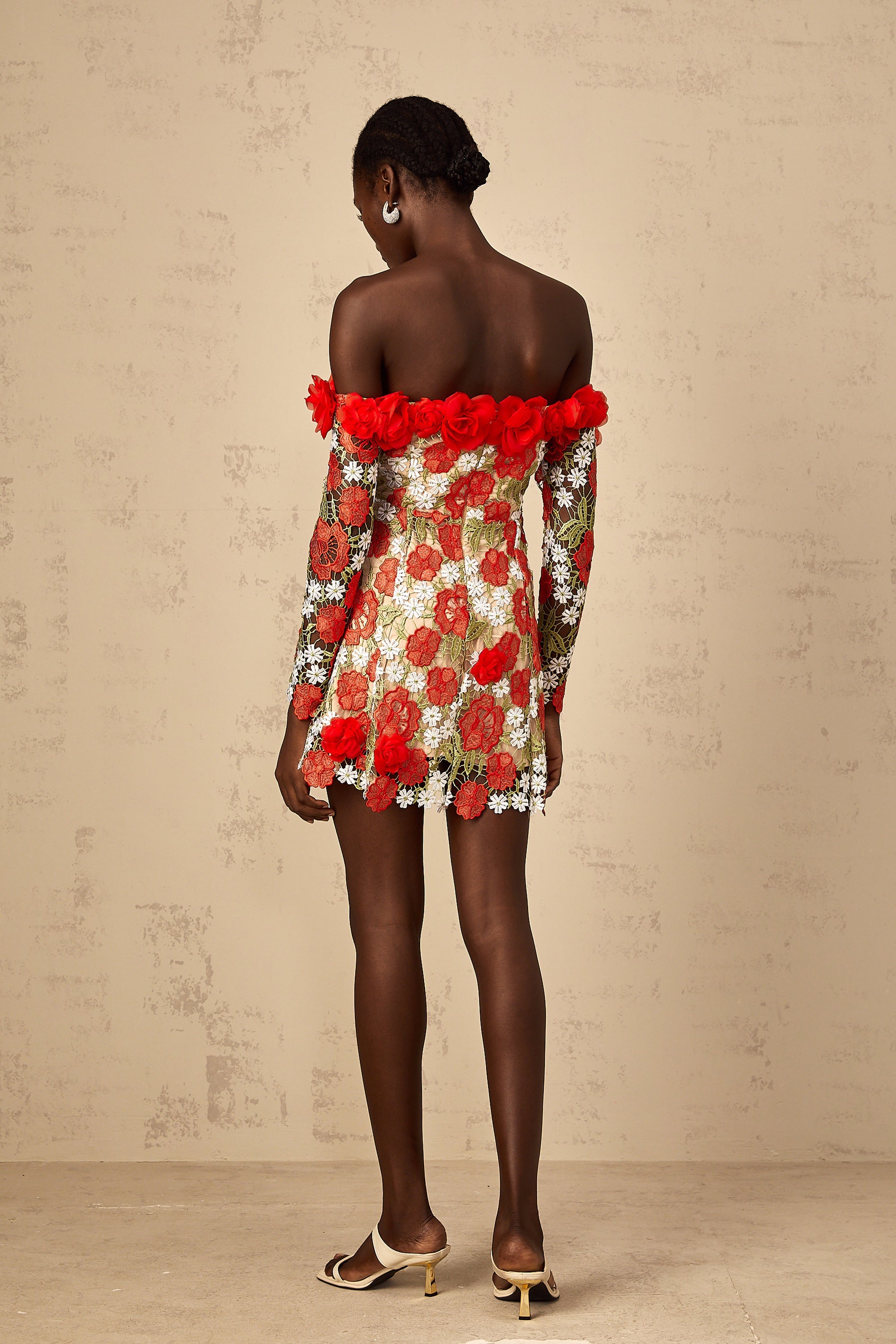 Anaya Red Rose Appliqué Embroidered Mini Dress
