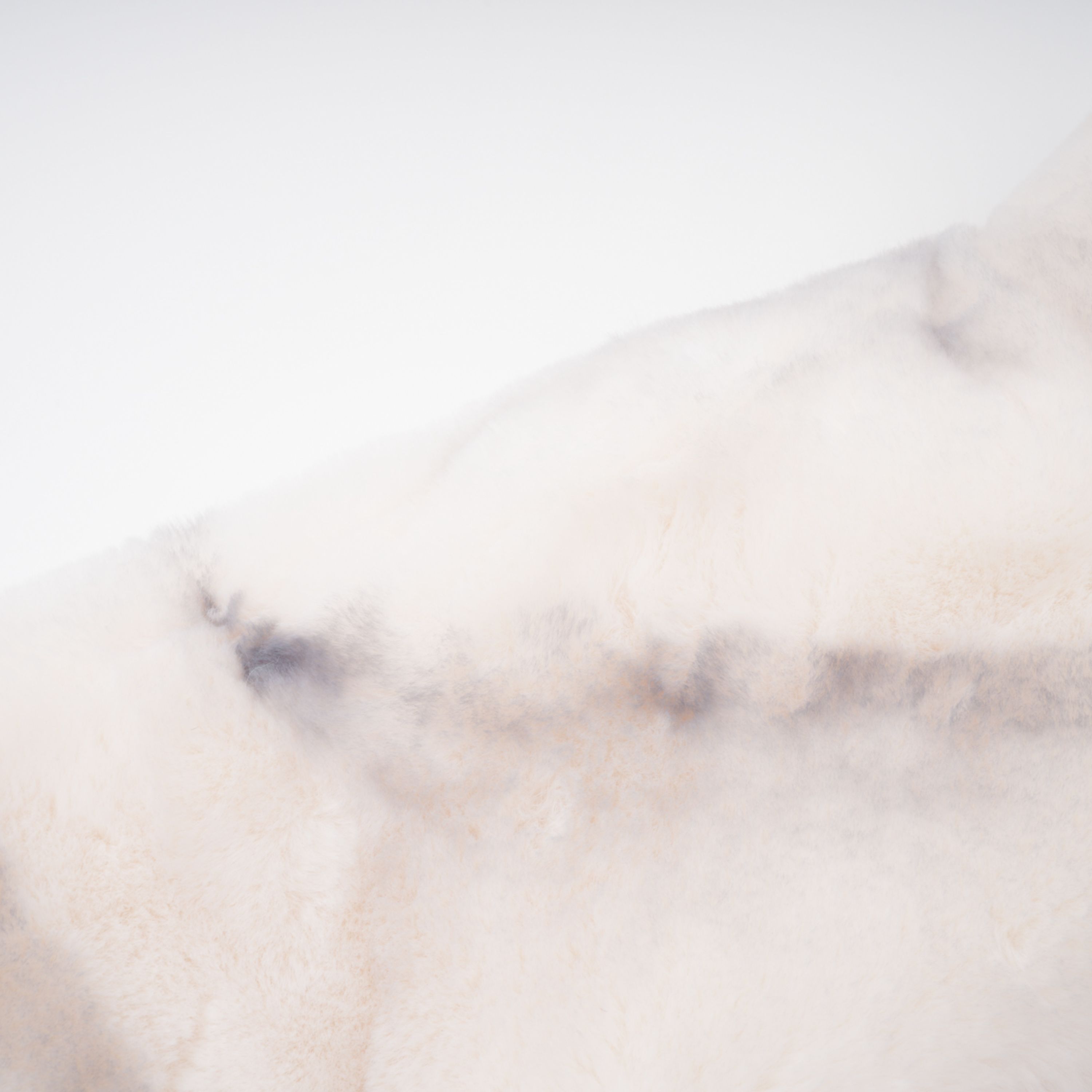 Alina White Gradient Faux Fur Short Coat