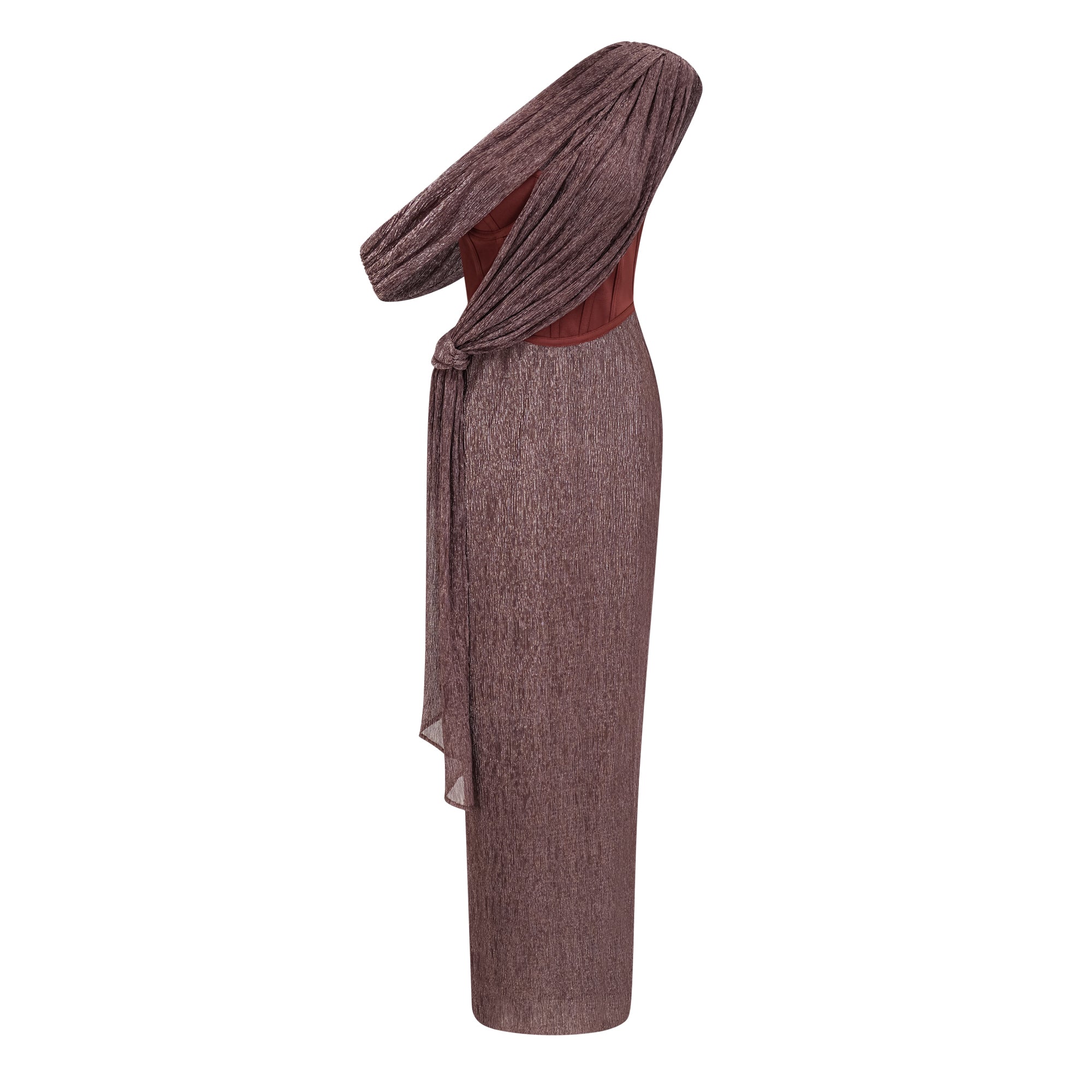 Delphine ribbon-design corset maxi dress in Brown (Final Sale-US Only)