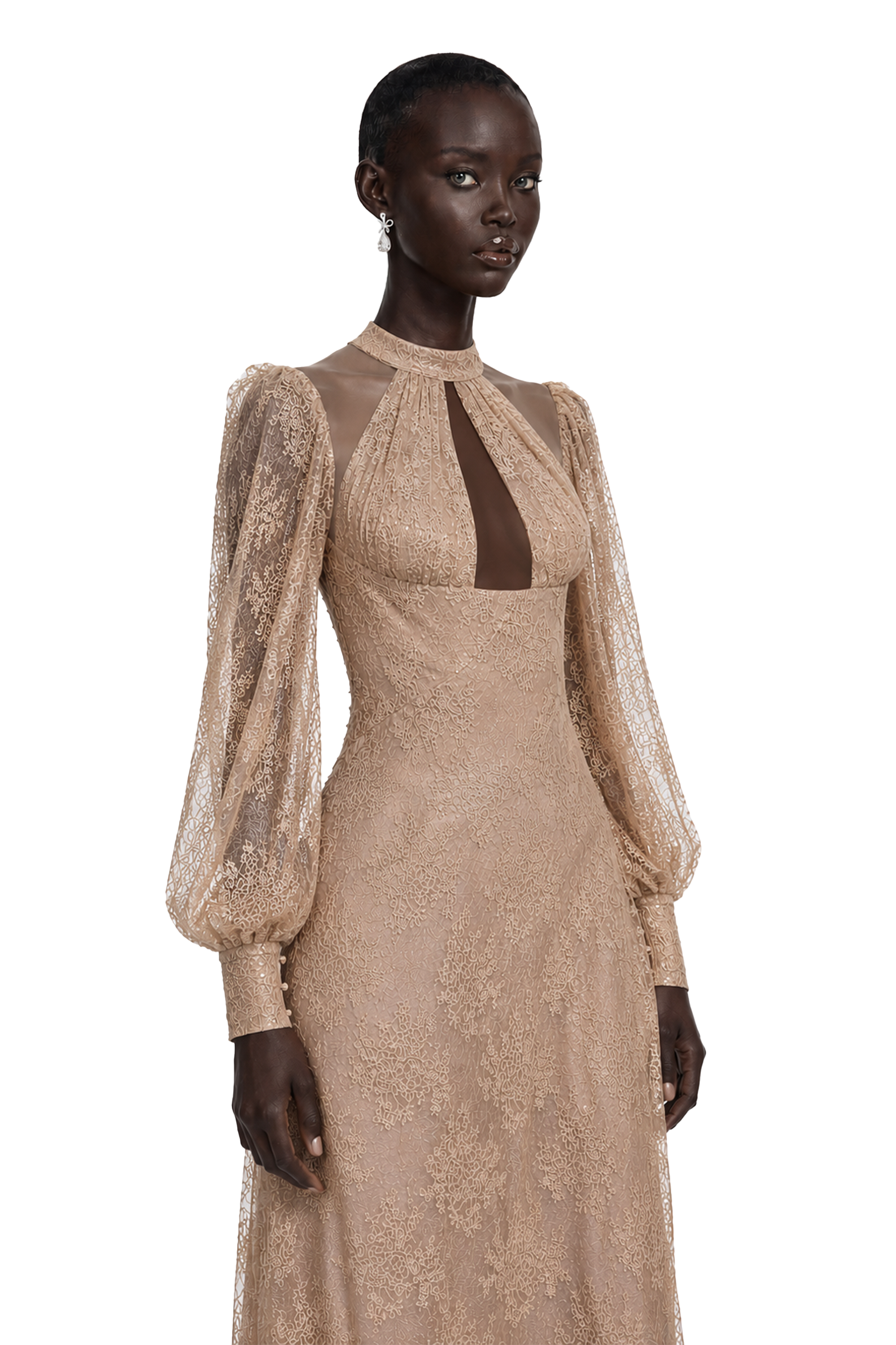 Serena Neutral Floral Lace Long Sleeves Maxi Dress