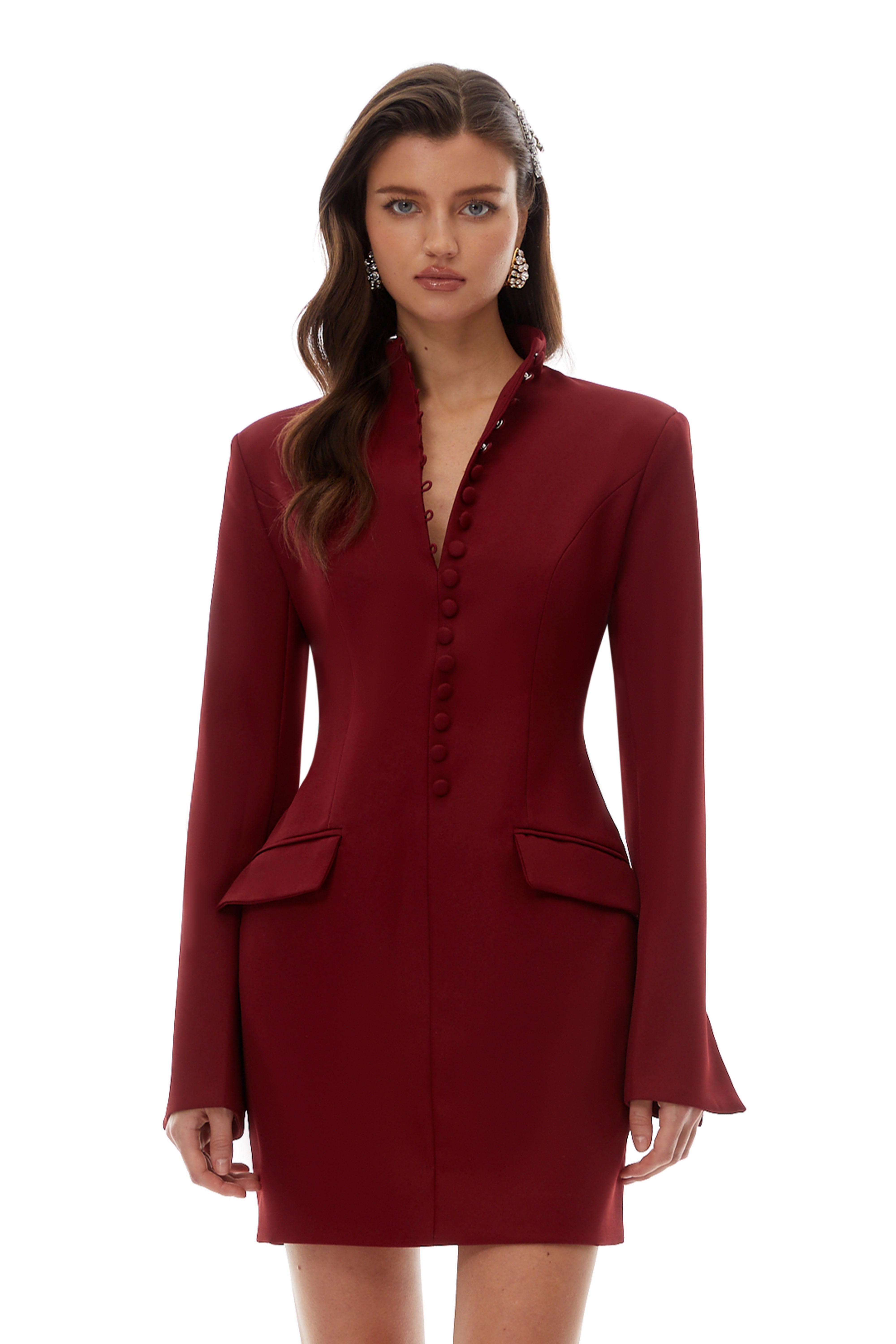 Valeria Burgundy Stand Collar Long Sleeve Mini Dress (Final Sale)
