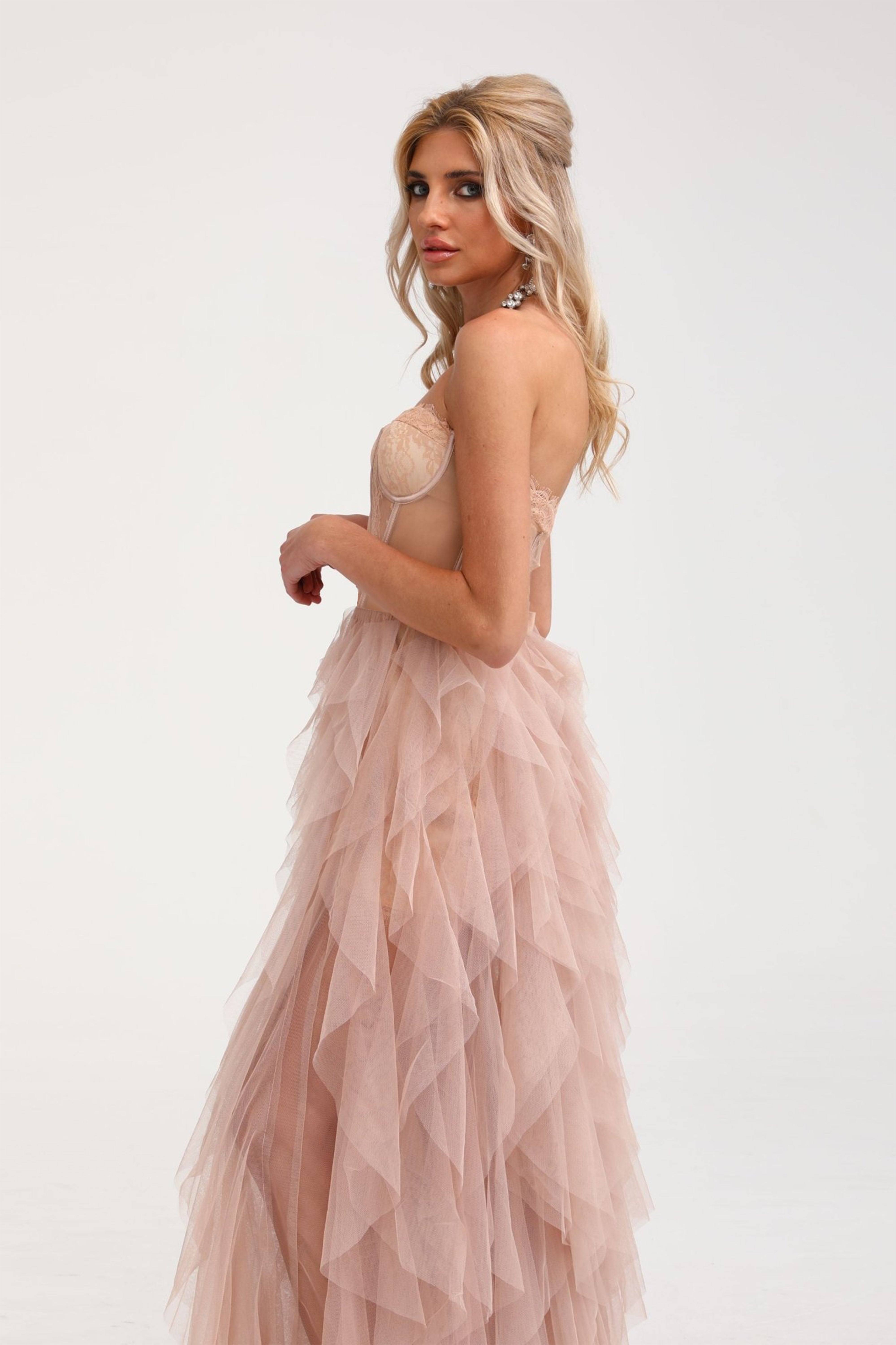 Eilís Pink Bustier Mesh Maxi Dress (Final Sale-US Only)
