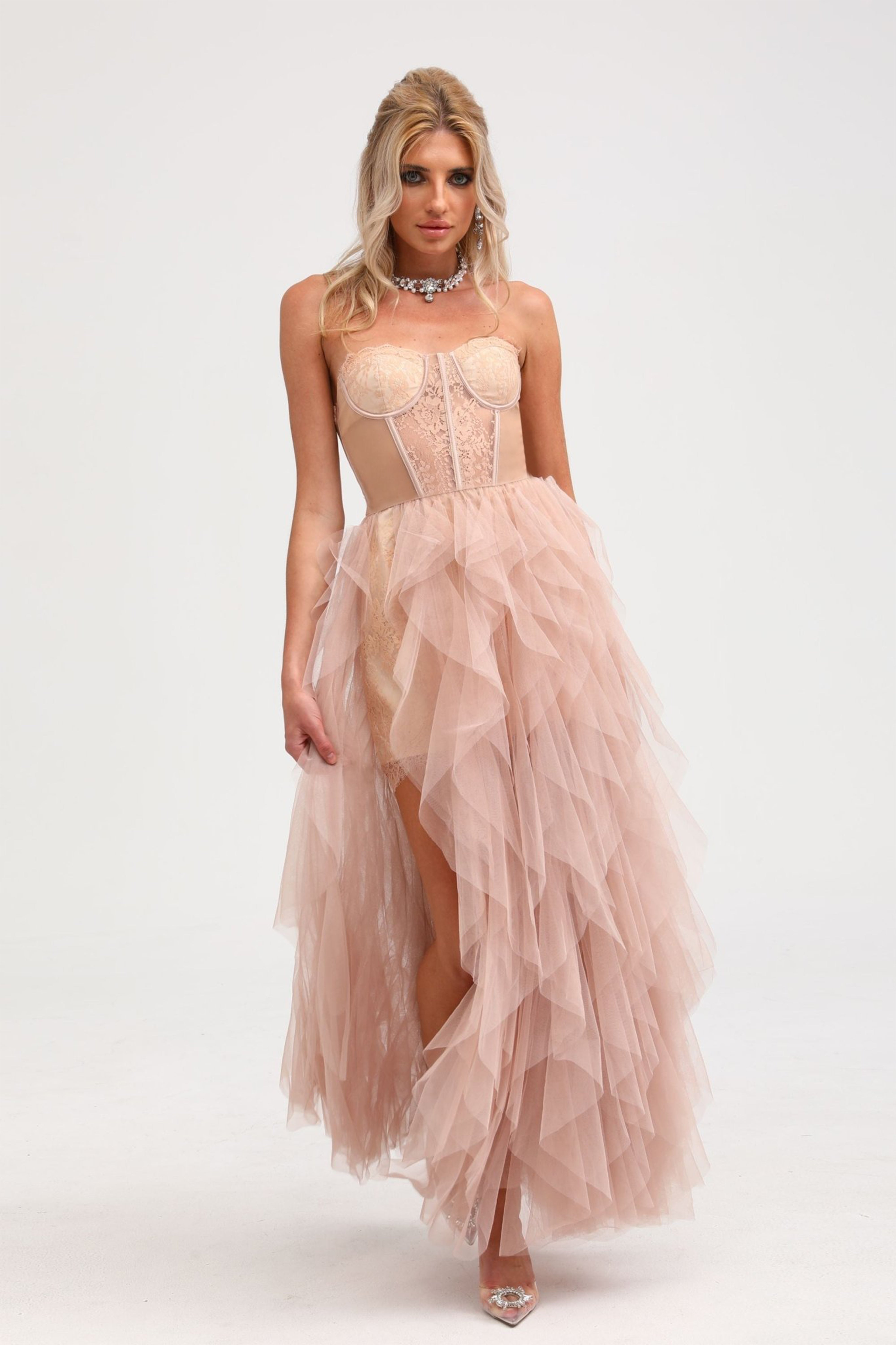 Eilís Pink Bustier Mesh Maxi Dress (Final Sale-US Only)