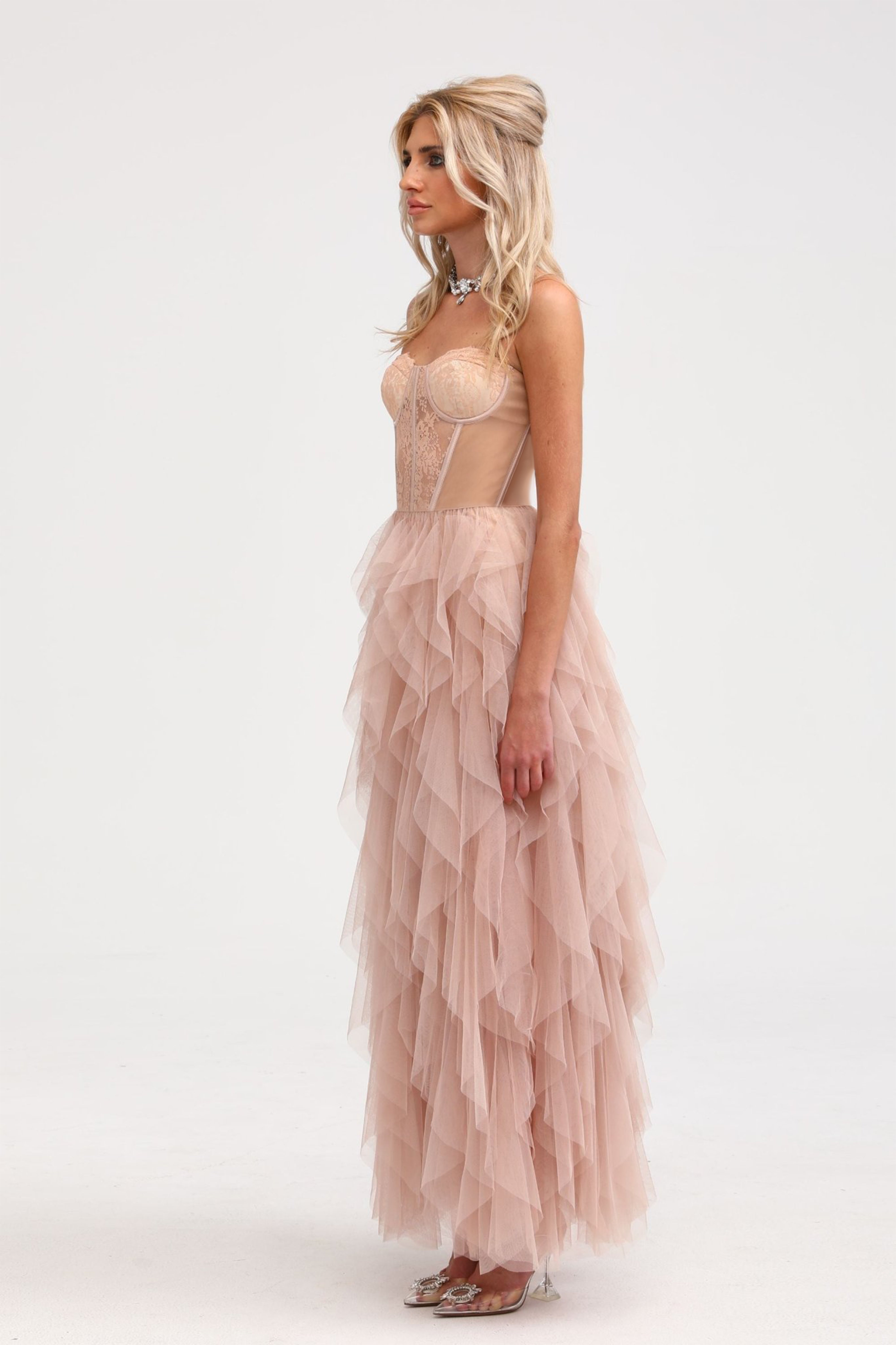 Eilís Pink Bustier Mesh Maxi Dress (Final Sale-US Only)